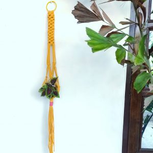 Hand Crafted Yellow Cotton Thread Macrame Multipurpose Holder